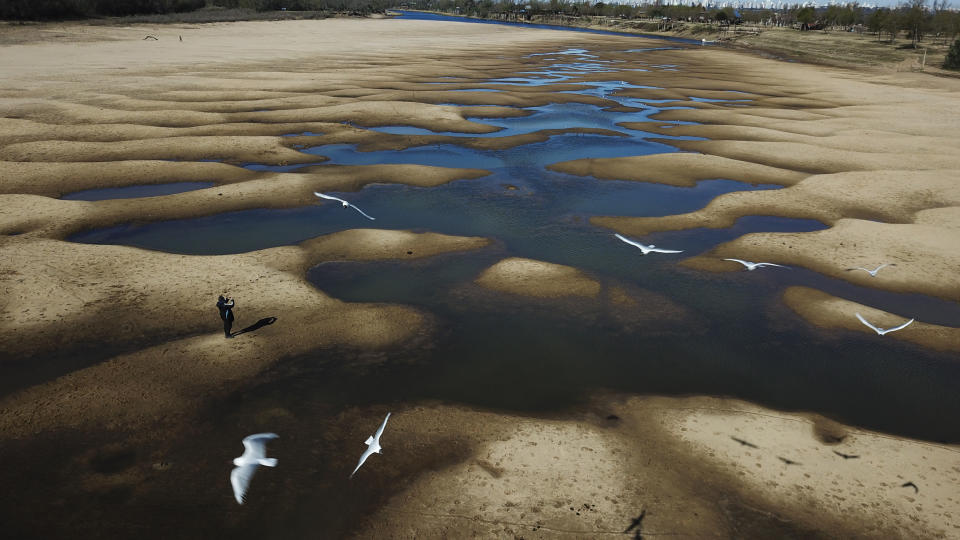 Birds fly over a man taking photos of the exposed riverbed of the Old Parana River, a tributary of the Parana River during a drought in Rosario, Argentina, Thursday, July 29, 2021. Parana River Basin and its related aquifers provide potable water to close to 40 million people in South America, and according to environmentalists the falling water levels of the river are due to climate change, diminishing rainfall, deforestation and the advance of agriculture. (AP Photo/Victor Caivano)