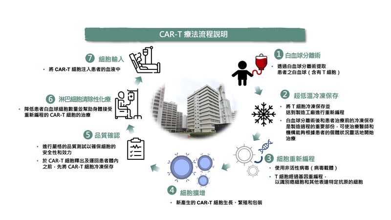 CAR-T療法流程。（圖／長庚醫院提供）