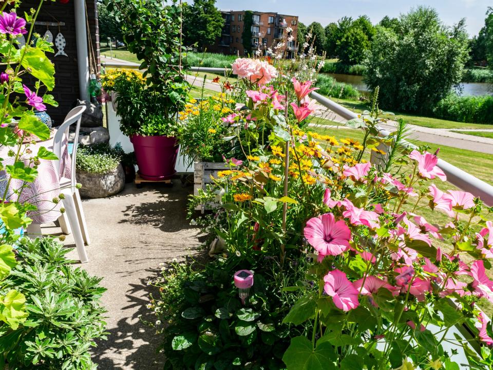 An outdoor porch lined with pink and yellow flours and greenery