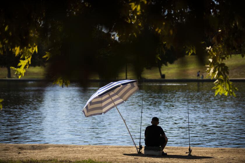 Lake Balboa, CA - September 26, 2022n - Relaxing in the cool shade of an umbrella, 11-year-old Alfredo Guerrero waits for the fish to bite at Lake Balboa Park Monday, Sept. 26, 2022 in Lake Balboa, CA. (Brian van der Brug / Los Angeles Times)