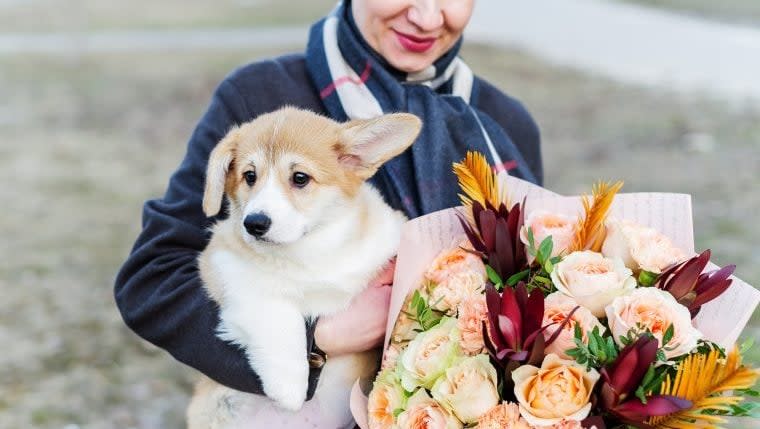 10 Dog-Safe Flowers for Mother’s Day