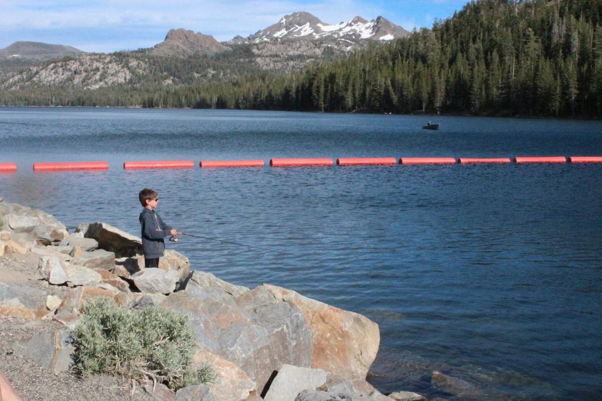 Caples Lake features plenty of shore fishing access for those in pursuit of trout.