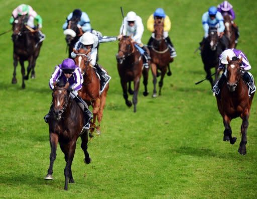 Horse 'Camelot' (L), ridden by Joseph O'Brien, heads the field to win the Derby race on Derby Day, at Epsom in Surrey, southern England, on June 2. Camelot's greatness as a racehorse is not in doubt but on Saturday he can achieve legendary status by winning the English St Leger and become the first horse to win the Triple Crown in 42 years