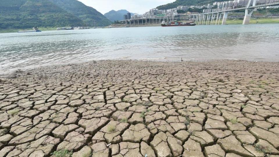 圖／翻攝自微博 澎湃新闻