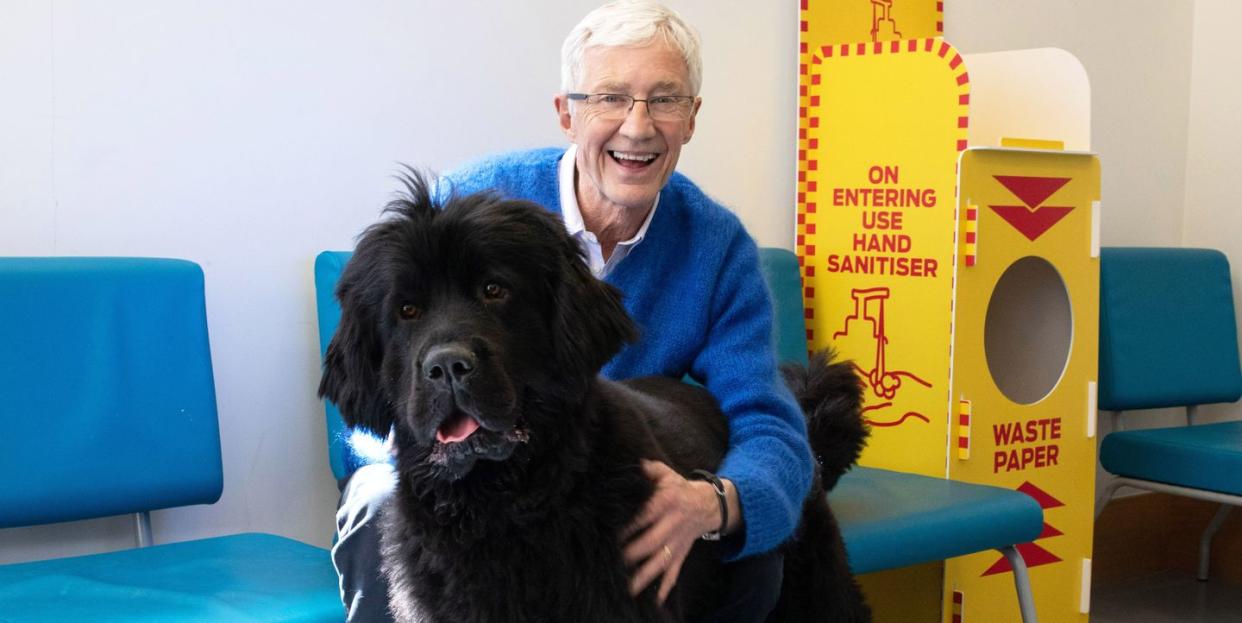 paul o'grady's for the love of dogs series 11 promo photo showing paul with a large rescue dog at battersea