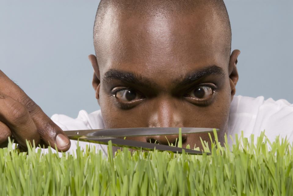 Man cutting wheatgrass with scissor, close-up