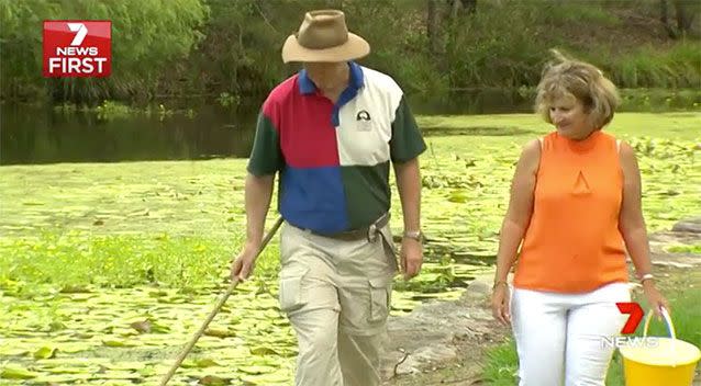 The Manning couple from Springfield Lakes are trying to stop toads from breeding in their suburb. Source: 7 News