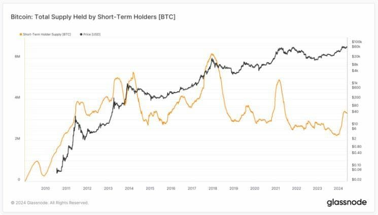 Los tenedores de Bitcoin a corto plazo alcanzan más de 3 millones de BTC