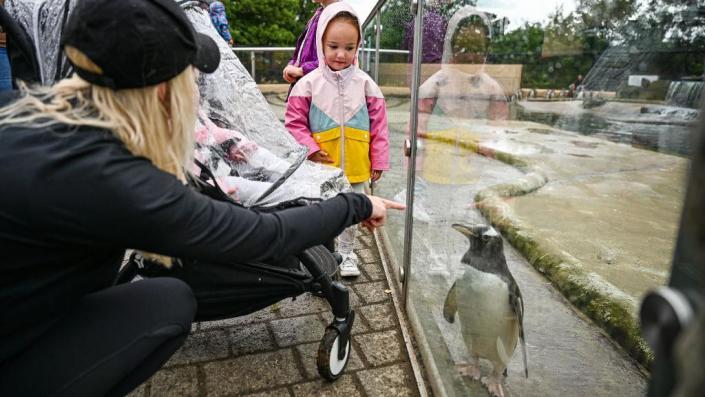 Visitors with a penguin at Edinburgh Zoo