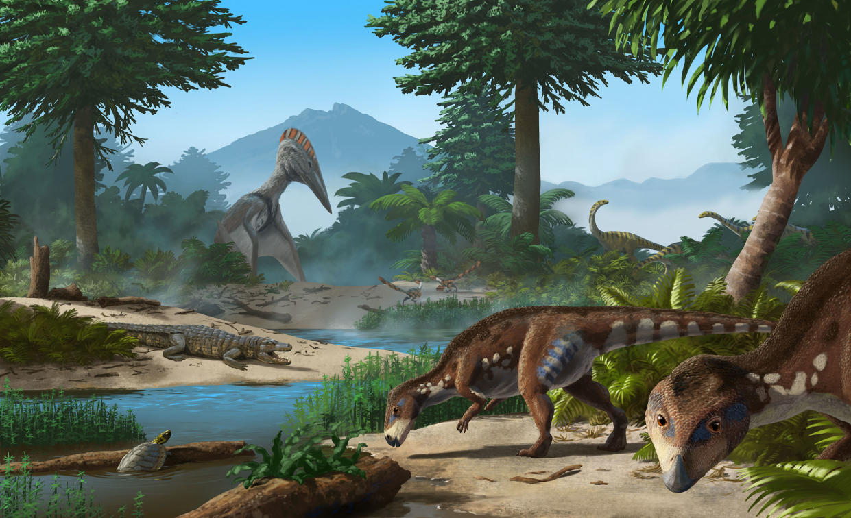 Diese Illustration zeigt einen Transylvanosaurus (vorne rechts), sowie Schildkröten, Krokodile, riesige Flugsaurier und andere Zwerg-Dinosaurier, die in Transsylvanien in der Kreidezeit gelebt haben sollen (Bild: Uni Tübingen)