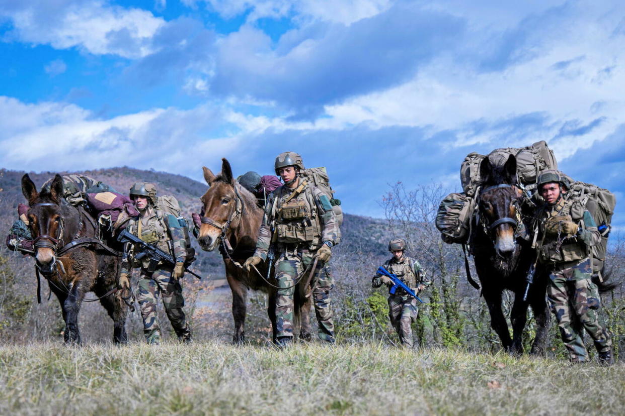 En Ardèche, pendant une semaine, des soldats du 7ᵉ BCA ont testé des mules pour acheminer du matériel lourd (vivres, armement, munitions) dans des milieux souvent difficiles et inadaptés aux véhicules.   - Credit:CCH Florian / 7e BCA