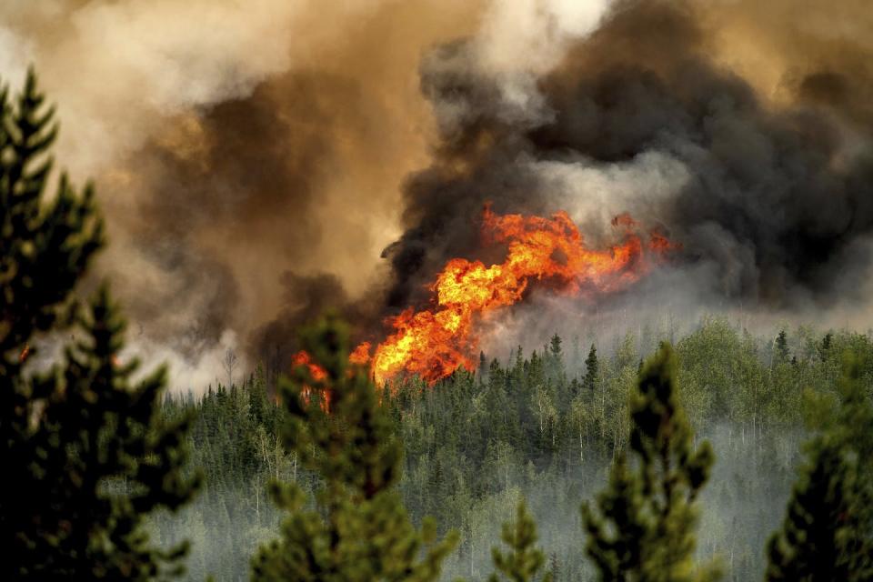 Flames from the Donnie Creek wildfire burn along a ridgetop north of Fort St. John, British Columbia, Canada, on July 2, 2023. Fire is part of the ecology of boreal forests, but climate change is drying out trees and making them more fire-prone. <a href="https://newsroom.ap.org/detail/CanadaWildfiresPhotoGallery/0920472b516345429a090820278d423b/photo" rel="nofollow noopener" target="_blank" data-ylk="slk:AP Photo/Noah Berger;elm:context_link;itc:0;sec:content-canvas" class="link ">AP Photo/Noah Berger</a>