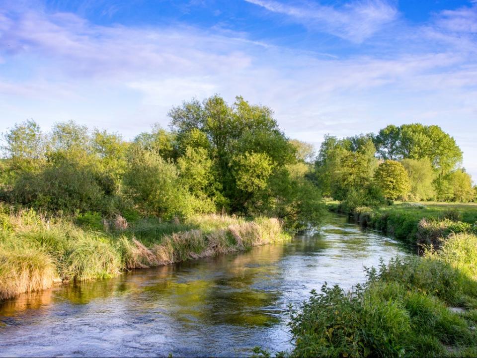 The River Itchen near Winchester, Hampshire (Shutterstock)