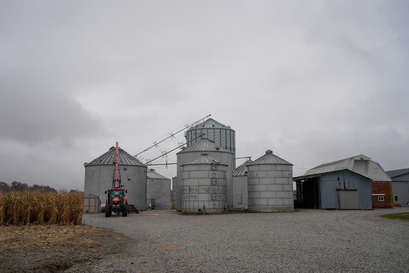 Corn silos on Gormong Farm near Terre Haute