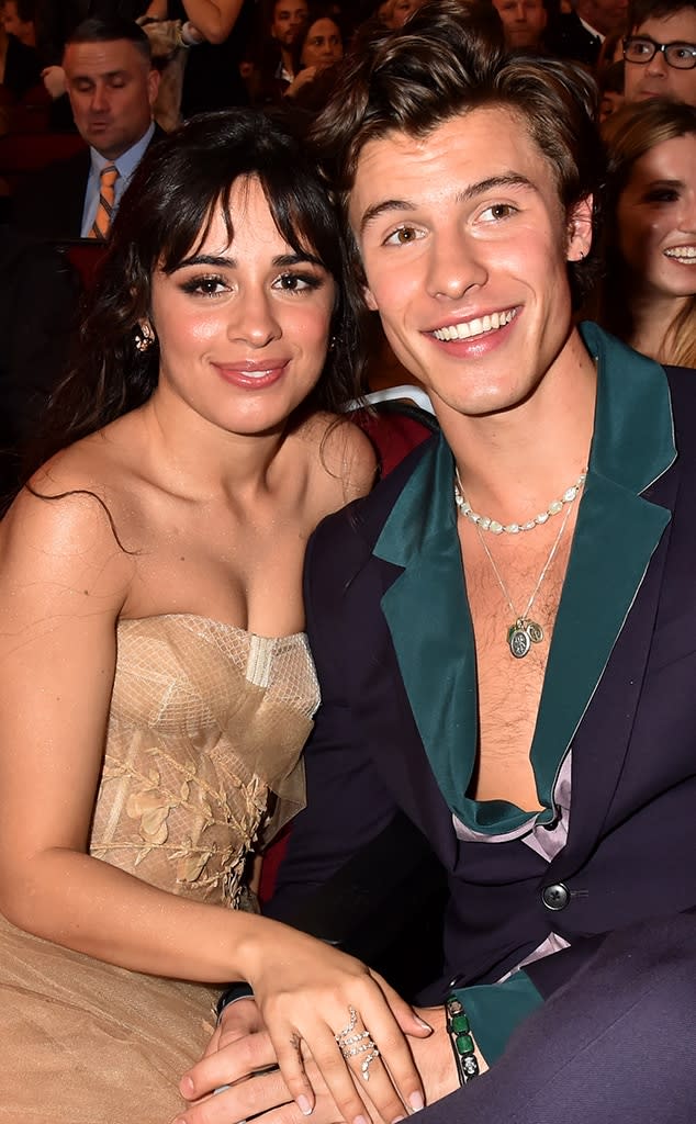 Shawn Mendes, Camila Cabello