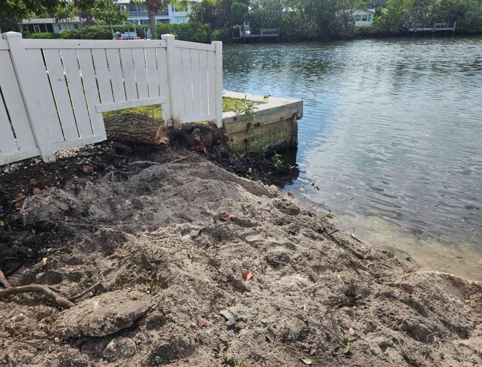 Images sent to the Florida Department of Environmental Protection by the City of Anna Maria show the extent of a mangrove removal that is under investigation by the state.