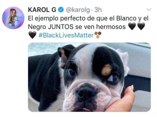 Karol G apologizes for using her dog to promote Black Lives Matter