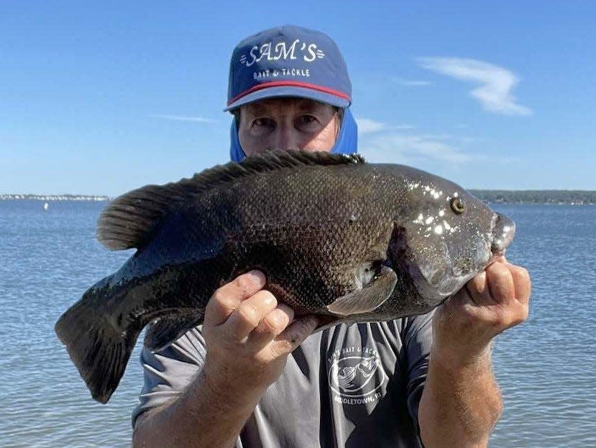 John Migliori of Newport with the 21-inch, 7.46-pound tautog he caught from shore this weekend on Aquidneck Island.