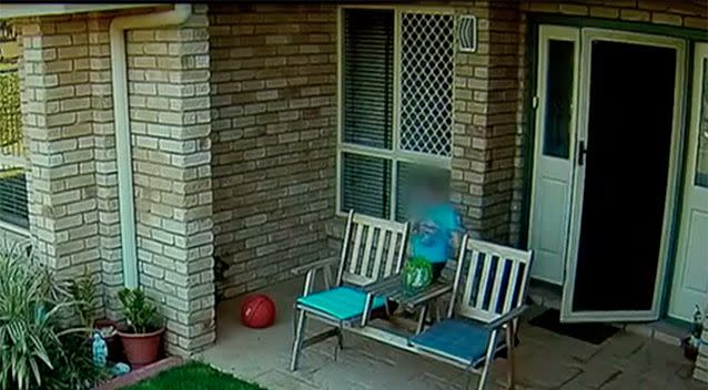 Little Oscar came out to investigate the noise. Source: 7 News