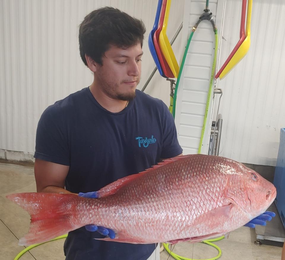 Jose Vazquez, at Two Jerks Seafood in Port Orange, with a chunky red snapper headed for the display window.