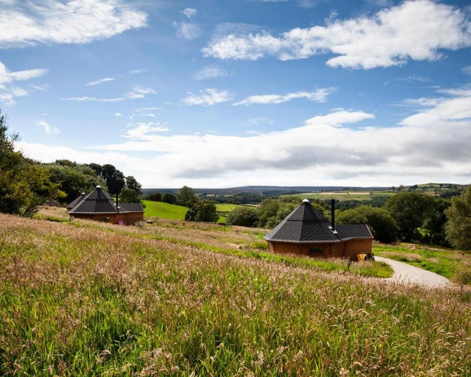 2) Little Seed Field, North Yorkshire