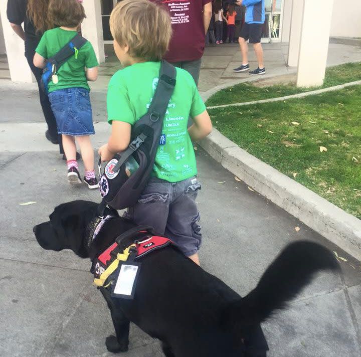 Luke handling Jedi on a school field trip. Photo: Facebook/Saving Luke