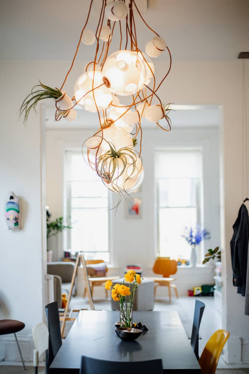 Air plants hung in light fixture over dining room table.