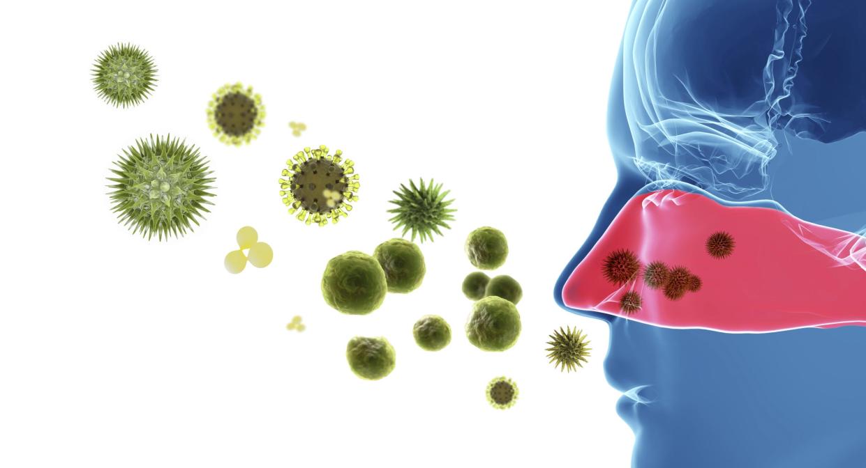 When pollen enters your nose, it causes the immune system to go into overdrive, and may result in a runny nose, sneezing, coughing, itchy and watery eyes, dark circles under the eyes, and in severe cases, asthma.