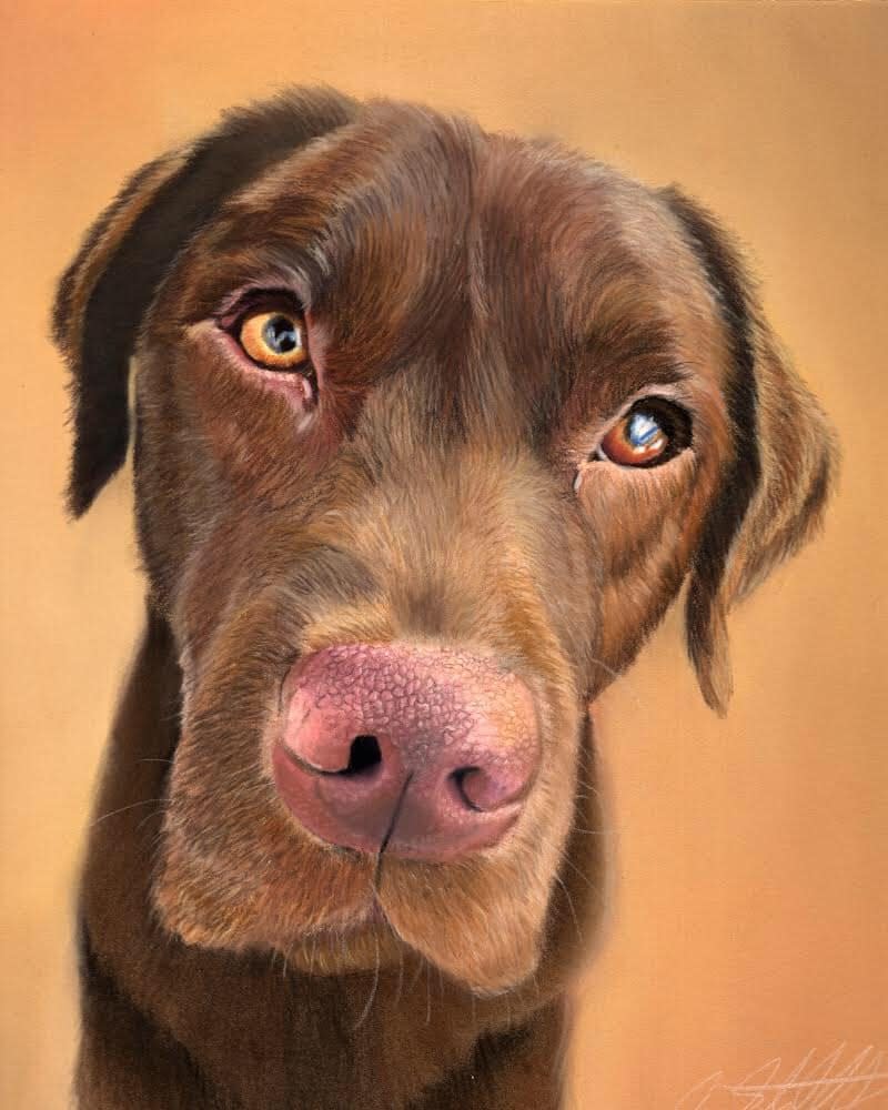 This painting by Ian Stoddard is among the artwork being featured at Friday's opening of "Rustbelt Rescues" at Patina Arts Center in downtown Canton, an exhibition in support of the Stark County Humane Society.