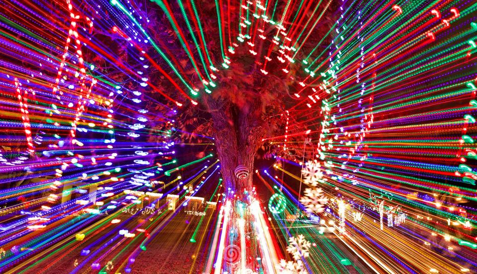 Christmas lights adorn a tree on Paseo de Vaca St. in the Santa Rita neighborhood of San Angelo on Sunday, Dec. 13, 2020.