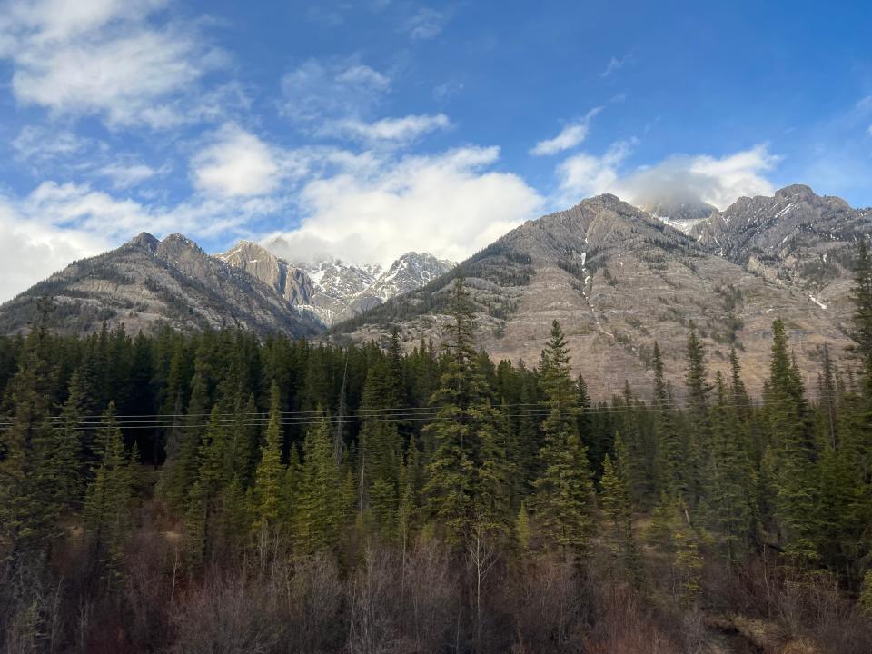 Rocky Mountains with pine trees and blue sky