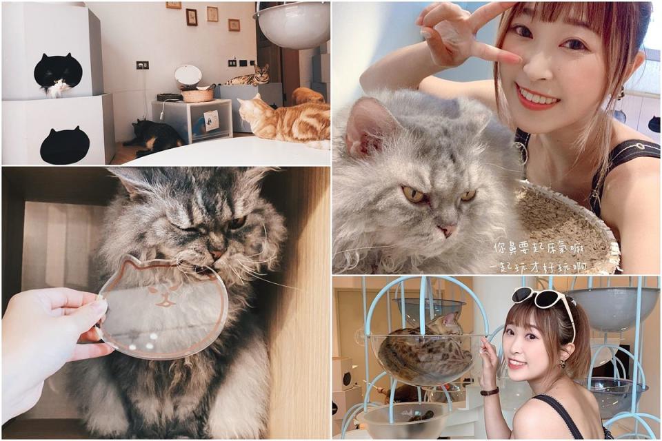 店內的桌上都會放著每隻貓的介紹小檔案，幫助顧客迅速認識每隻貓 Photo via：catsdayloudong、mia_712