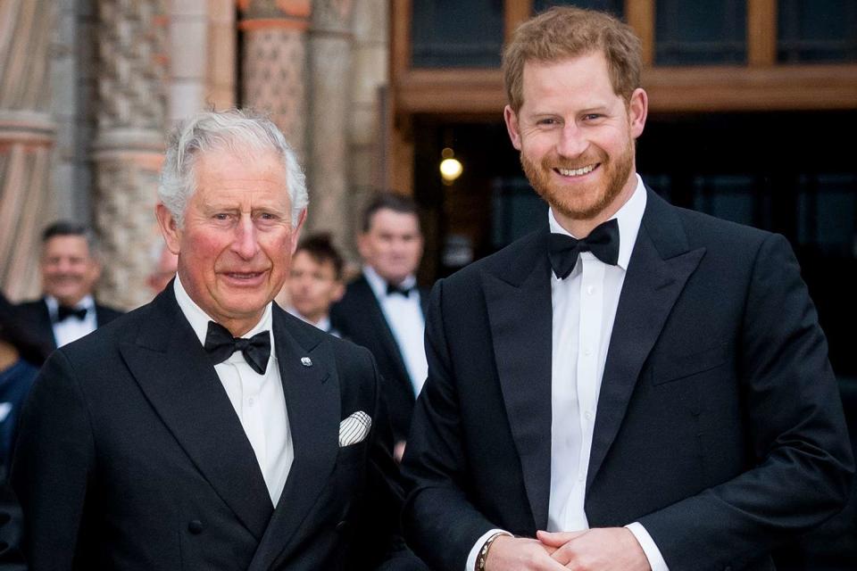 <p>Samir Hussein/Samir Hussein/WireImage</p> King Charles and Prince Harry in April 2019