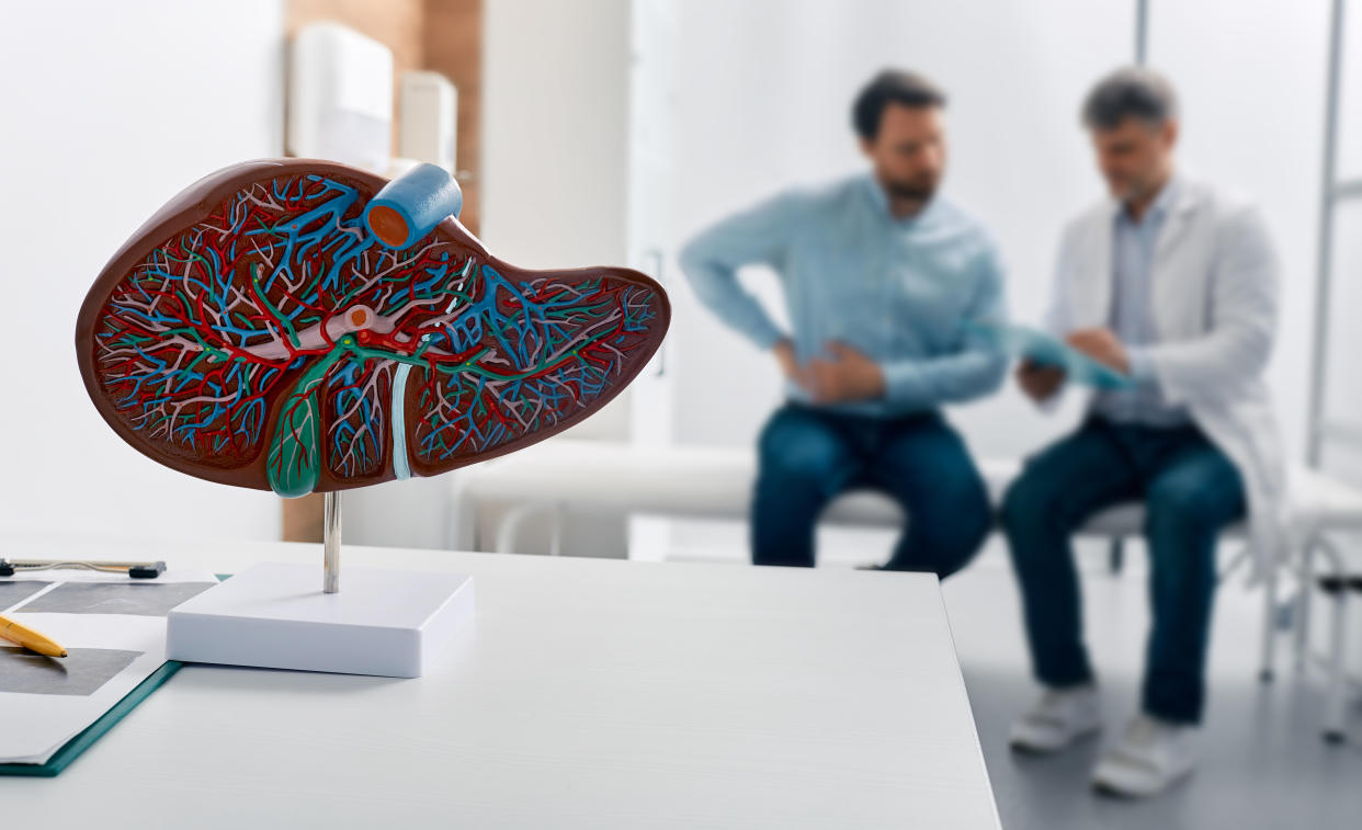 Liver anatomical model on doctor's table during hepatologist consultation for patient with side pain in background. Treatment liver diseases in medicine, conceptual image�