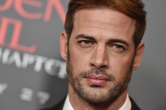 <p> (Photo by Axelle/Bauer-Griffin/FilmMagic)</p> William Levy