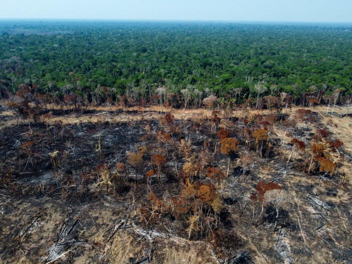 A deforested and burnt area is seen on a stretch of the BR-230 (Transamazonian highway) in Humaitá, Amazonas State, Brazil, on September 16, 2022. (Michael Dantas/AFP via Getty Images)