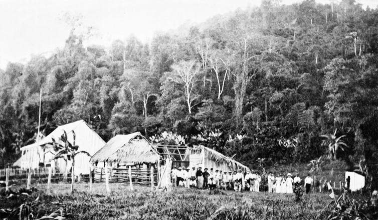 <span class="caption">Banana plantation in Nicaragua, 1894.</span> <span class="attribution"><a class="link " href="https://commons.wikimedia.org/wiki/File:PSM_V45_D184_Banana_plantation.jpg" rel="nofollow noopener" target="_blank" data-ylk="slk:Popular Science Monthly;elm:context_link;itc:0;sec:content-canvas">Popular Science Monthly</a></span>