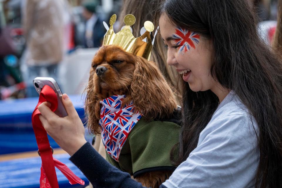 Bibi Tukentahi, 19, a college student at a veterinary school, takes a selfie with Toffee before dozens of Cavalier King Charles Spaniels parade through Chelsea to honor the coronation of King Charles III in London on May 6, 2023. The May 6 event marks the first time in 70 years that Britain has crowned a new monarch. The last coronation took place for the late Queen Elizabeth II on June 2, 1953.