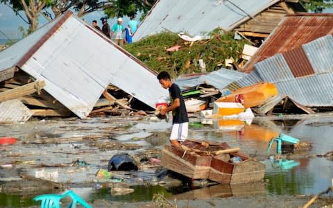 A man surveys the damage caused by earthquake and tsunami in Palu - Credit: AP Photo/Rifki