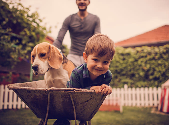 The Very Best Kid-Friendly Dogs for Your Growing Family