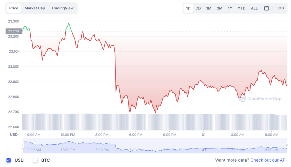 La variación del precio del Bitcoin en lo que va del año. Fuente: coinmarketcap.com.