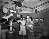 <p>After filming <em>Hollywood on Television </em><a href="https://www.wbur.org/npr/360425512/betty-white-the-golden-girl-from-the-golden-days-of-television" rel="nofollow noopener" target="_blank" data-ylk="slk:six days a week;elm:context_link;itc:0;sec:content-canvas" class="link ">six days a week</a> and earning an education in how to work in live TV, it wasn't long before Betty became one of the stars of the show. </p>