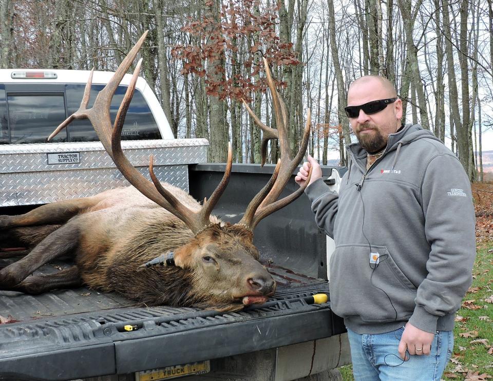 Mike Daniels of Genesee, Potter County, shot a 7x7 bull elk Tuesday morning near Emporium.