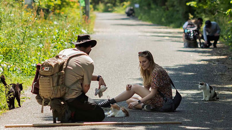 Tourists pet cats on a street on Tashirojima island in Ishinomaki, northeast of Japan, Saturday, May 18, 2024.