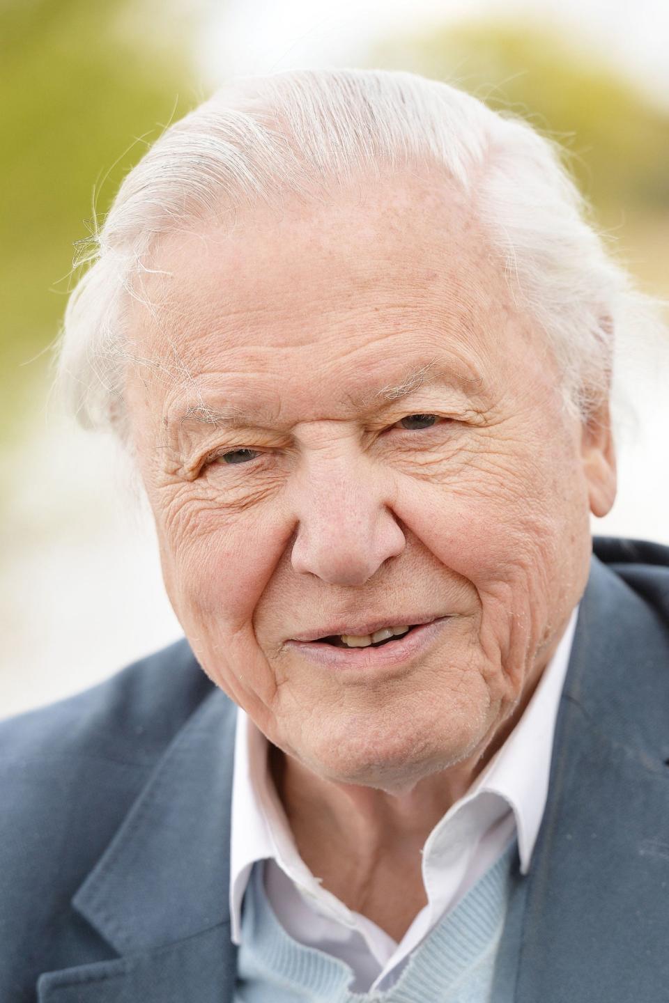 David Attenborough (PA)