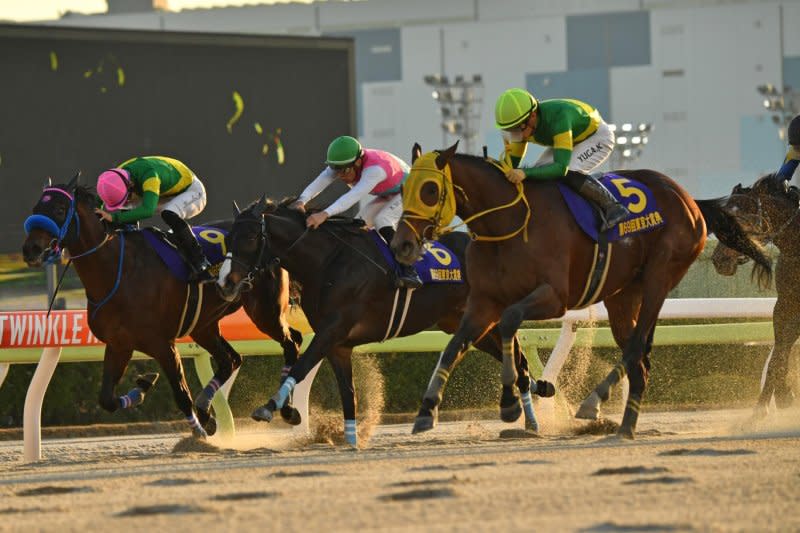 Ushba Tesoro (No. 5), shown winning the Grade 1 Tokyo Daishoten, is among the Japanese entries for Saudi Cup weekend races Feb. 23-24 in Riyadh. Photo by and courtesy of Katsumi Saito