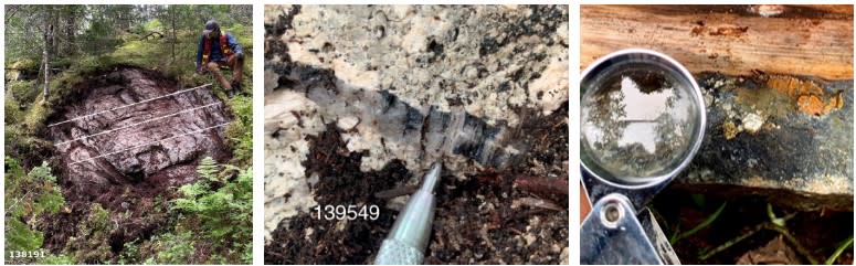 Field Occurrences of QTP veining in the Eastern Arm Area, Valentine Gold Project. Left: granitoid outcrop with up to seven 0.5-3 cm Quartz-Tourmaline veins in stacked configuration. Middle: Classic Valentine extensional Quartz-Tourmaline-Pyrite vein in outcrop. Right: coarse pyrite in Quartz-Tourmaline-Pyrite vein float sample.