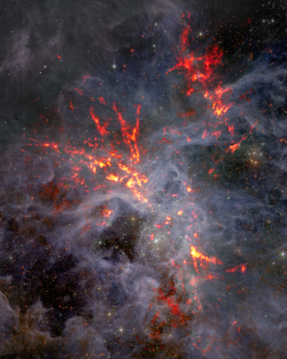 The large, star forming region known as 30 Doradus sits at the heart of the Tarantula Nebular some 170,000 light years from Earth in the large Magellanic cloud.  (ALMA (ESO/NAOJ/NRAO), T. Wong (U. Illinois, Urbana-Champaign); S. Dagnello (NRAO/AUI/NSF))