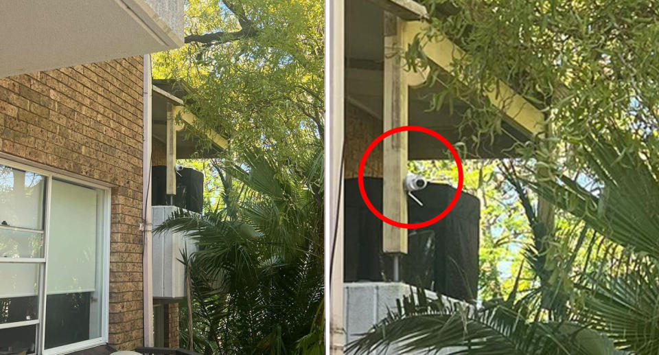 The neighbour's home security camera looms over her backyard in Cronulla, Sydney. 