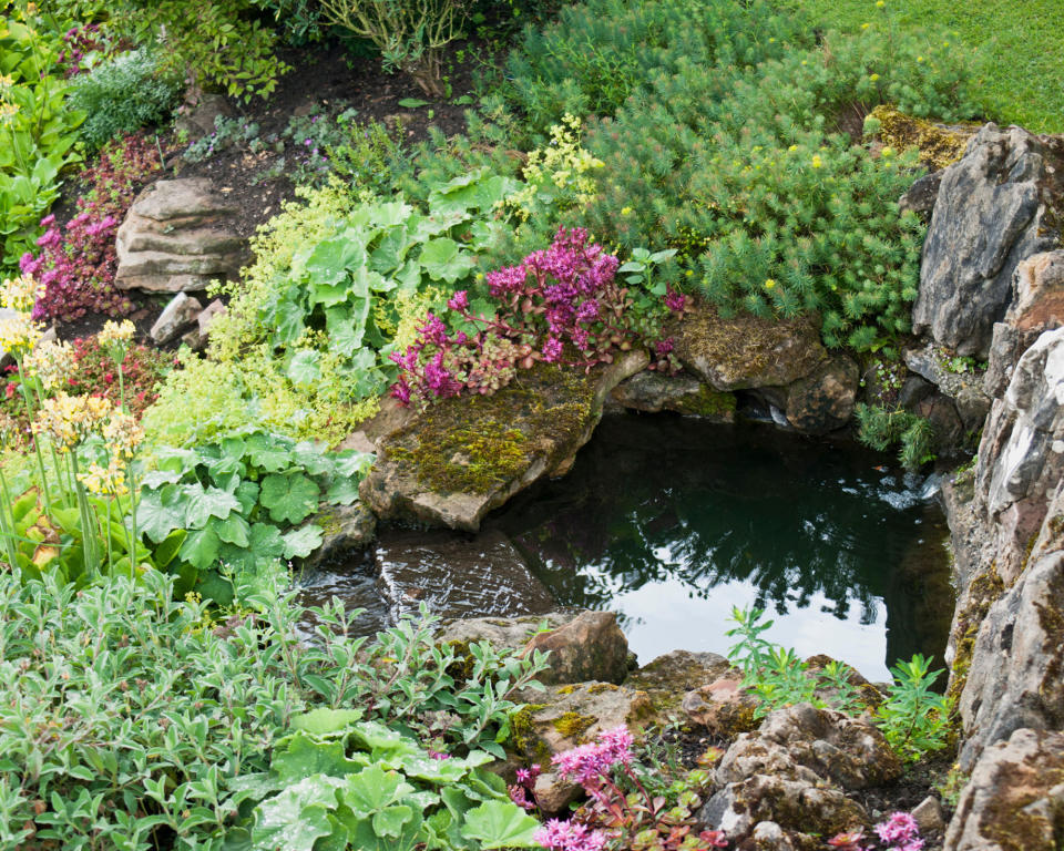 1. Enhance a rock garden with a small pond